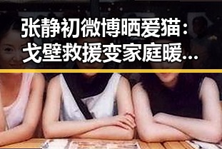 张静初微博晒爱猫：戈壁救援变家庭暖宝，萌宠故事感动全场！