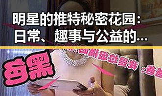 明星的推特秘密花园：日常、趣事与公益的真实一面✨