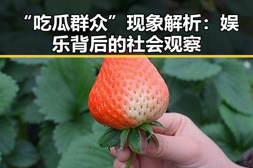 “吃瓜群众”现象解析：娱乐背后的社会观察