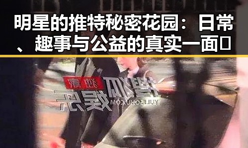 明星的推特秘密花园：日常、趣事与公益的真实一面✨