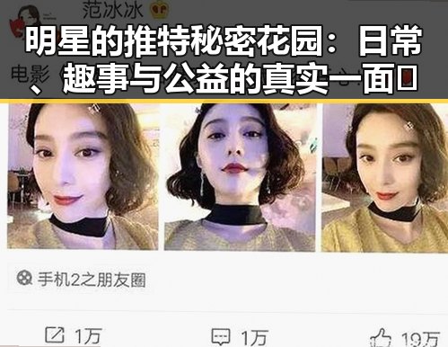 明星的推特秘密花园：日常、趣事与公益的真实一面✨